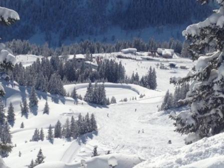 Villa Haus Mondspitze Bürserberg Esterno foto